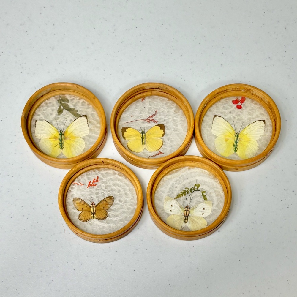 Vintage Rattan Real Pressed Butterfly Acrylic Bamboo 1970s Coasters Set Of 5